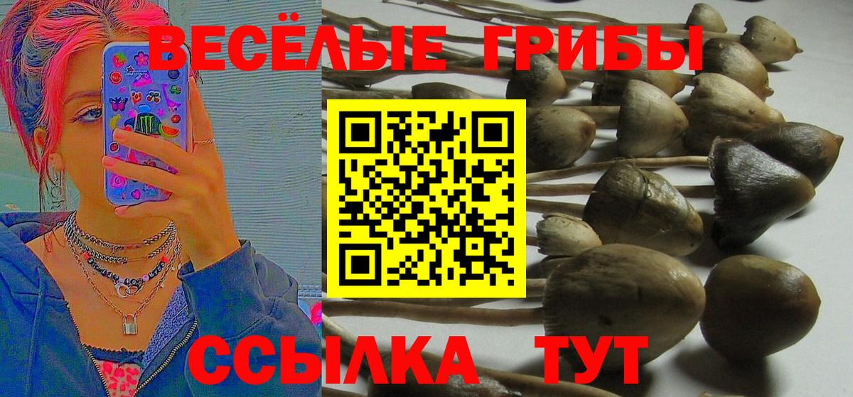Как найти наркотики?  Горно-Алтайск  Cocaine  Мефедрон кристаллы  ГАШИШ  Вход с VPN  Марихуана 