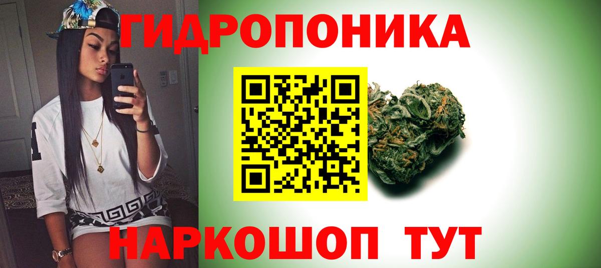 Марихуана Bruce Banner  Вход с VPN  Каннабис индика  Каннабис план  Горно-Алтайск 